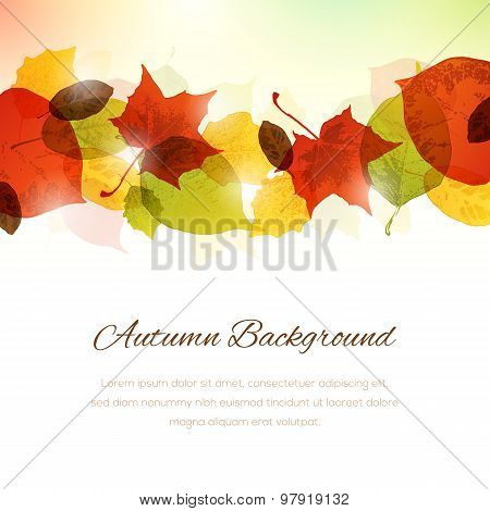 Background With Autumn Leaves At The Top And Copy Space At The Bottom