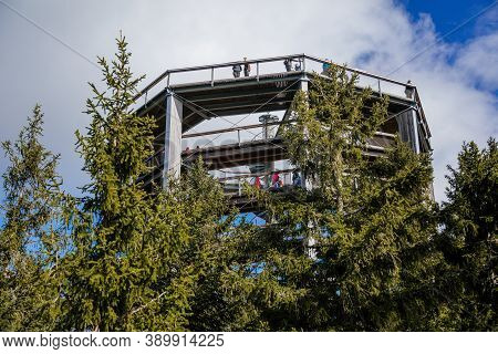 Treetop Walkway (stezka Korunami Stromu) In Sunny Day Lipno Nad Vltavou, South Bohemia, Czech Republ