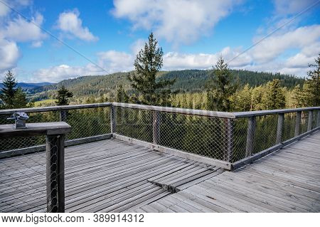 Treetop Walkway (stezka Korunami Stromu) In Sunny Day Lipno Nad Vltavou, South Bohemia, Czech Republ