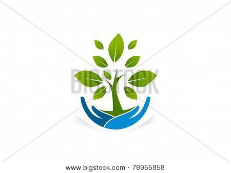 root care healthy grow business logo