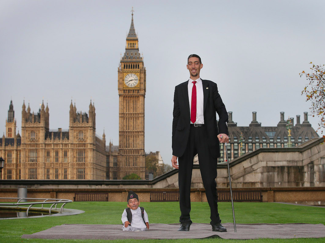 The countries with the tallest people in the world Business Insider