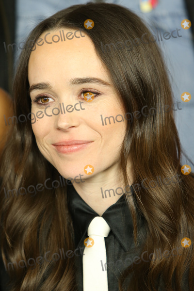 Ellen Page Photo - LOS ANGELES - FEB 12  Ellen Page at the The Umbrella Academy Premiere at the ArcLight Hollywood on February 12 2019 in Los Angeles CA