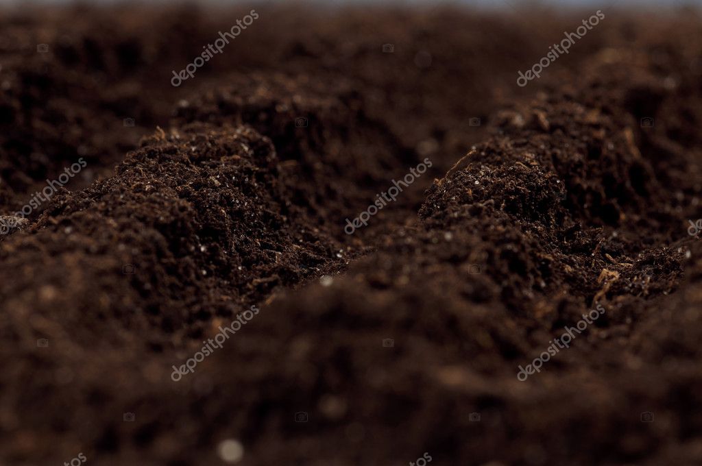 Soil background Stock Photos, Royalty Free Soil background Images |  Depositphotos