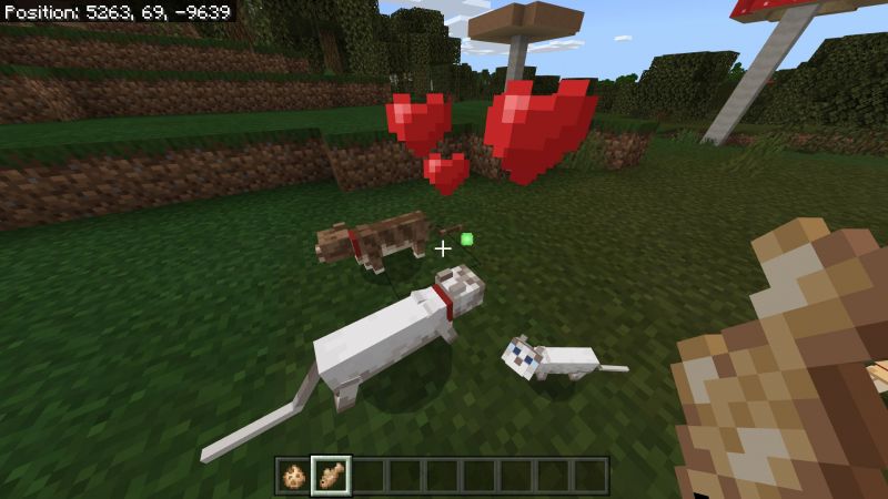 How To Breed Cats In Minecraft