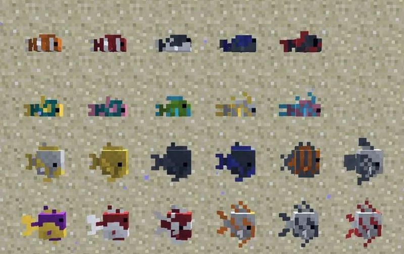 Rarest Fish In Minecraft