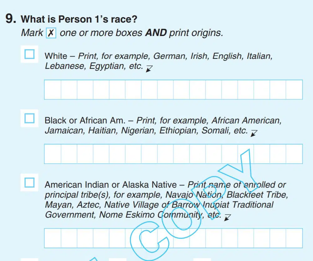 census-race2020.jpg