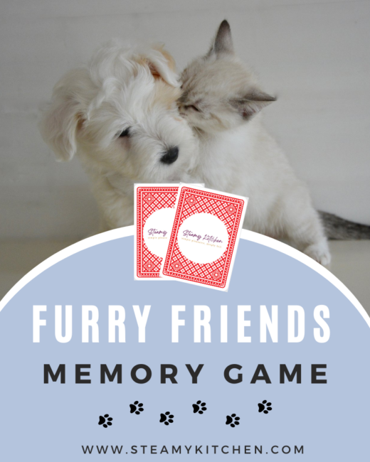 Furry Friends Memory Game