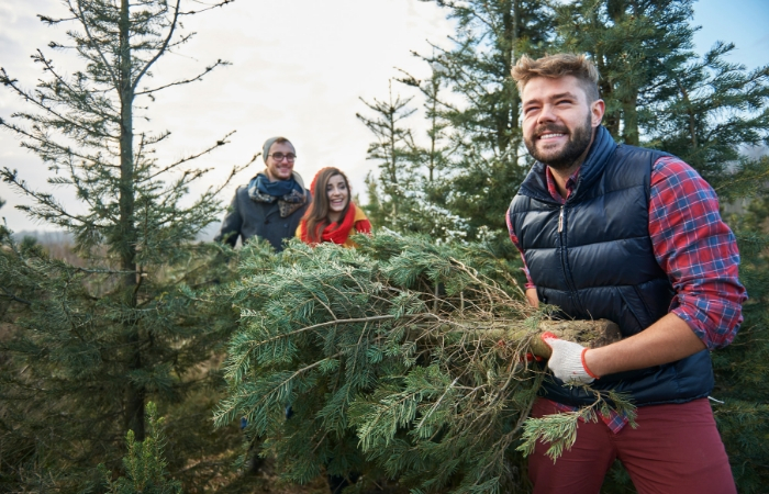 13 Nearby Cut-Your-Own Christmas Tree Farms