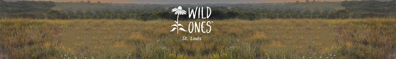 Wild Ones St. Louis