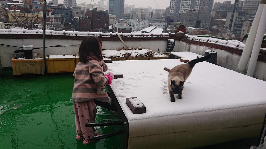 Image of a child and cat on a snowy roof top