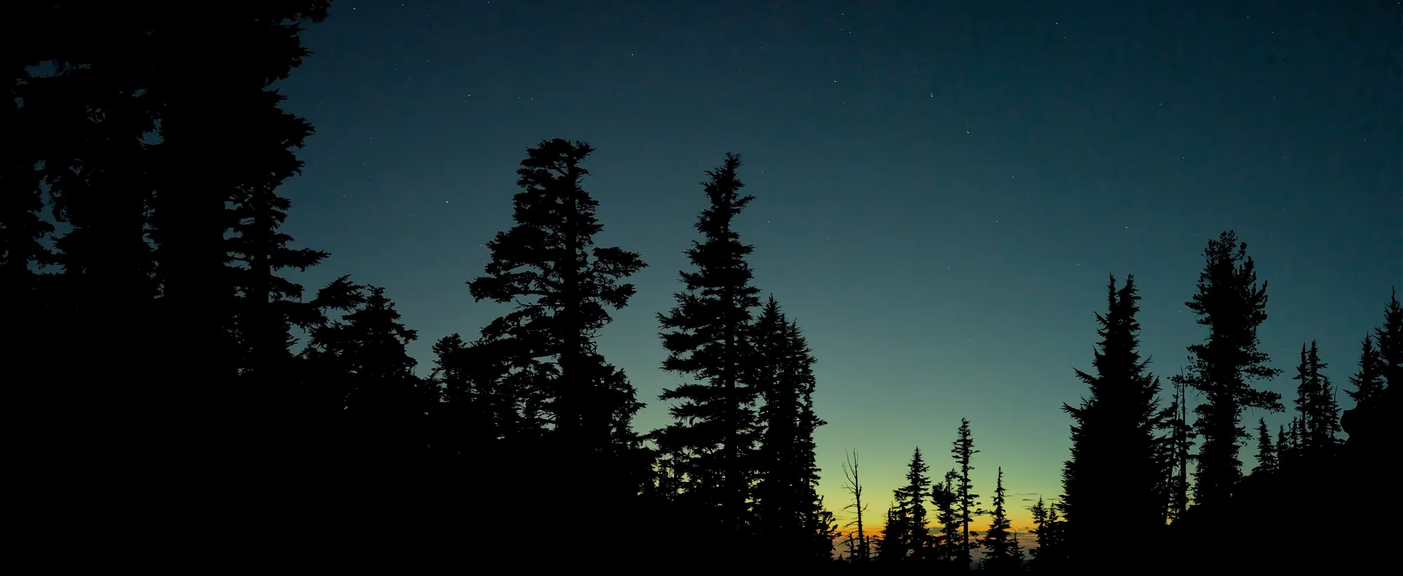 A panorama photo of a night sky, showing the profiles of trees and a blue sky that fades to orange and yellow on the horizon. Stars are visible in the bluest part of the sky.