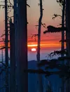 An image of an orange and purple sunrise; the sun is on the horizon and bright, neon red. Trees are in the foreground, where it’s still somewhat dark.