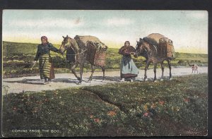 Ireland Postcard - Workers Coming From The Peat Bog DC639