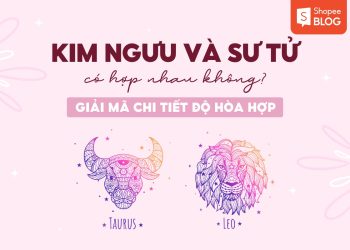 kim ngưu và sư tử có hợp nhau không