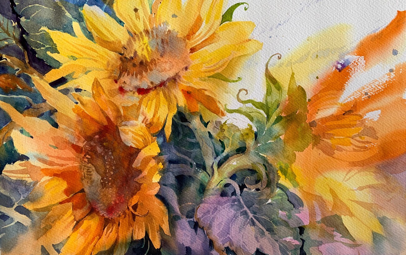 Illustrazione artistiche | Sunflowers in the sun. Watercolor painting ...