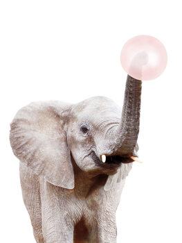 Fotografi Elephant with bubble gum