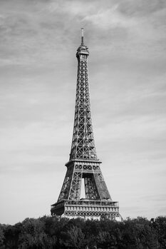 Художня фотографія Eiffel Tower - Tour Eiffel