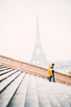 Fotografia Winter In Paris