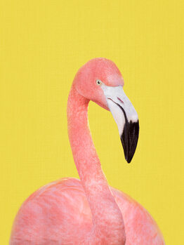 Fotografi Flamingo in Yellow