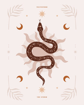 Ilustracja Snake Transform