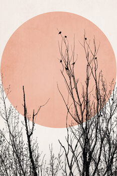 Illustrazione Sunset Dreams