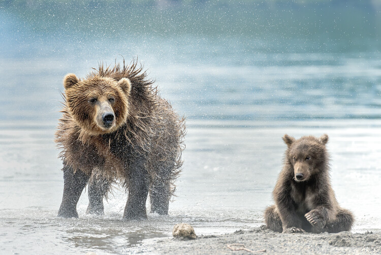 Φωτογραφία Shaking - Kamchatka, Russia