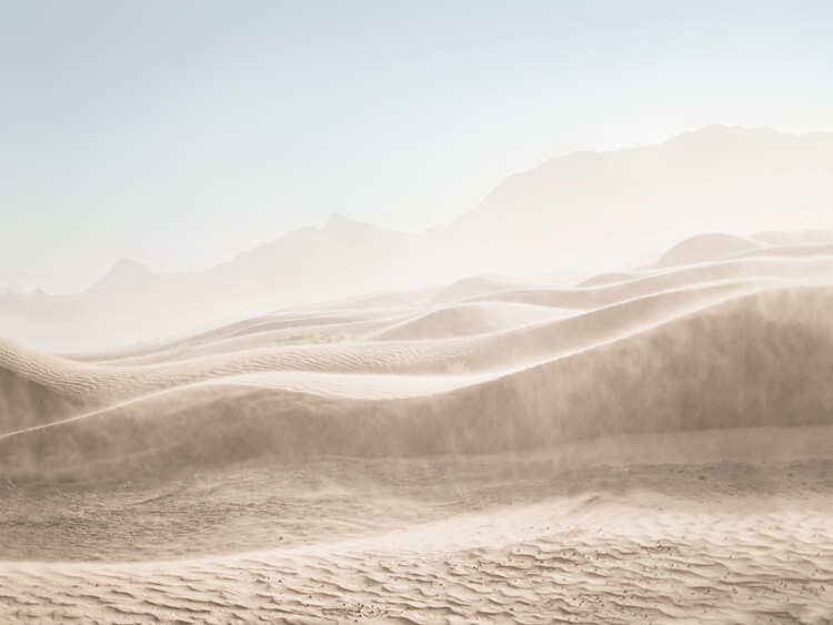 Fotografia Desert Landscape