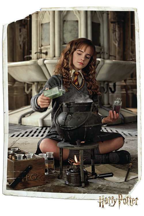 Εκτύπωση καμβά Harry Potter - Hermione Granger