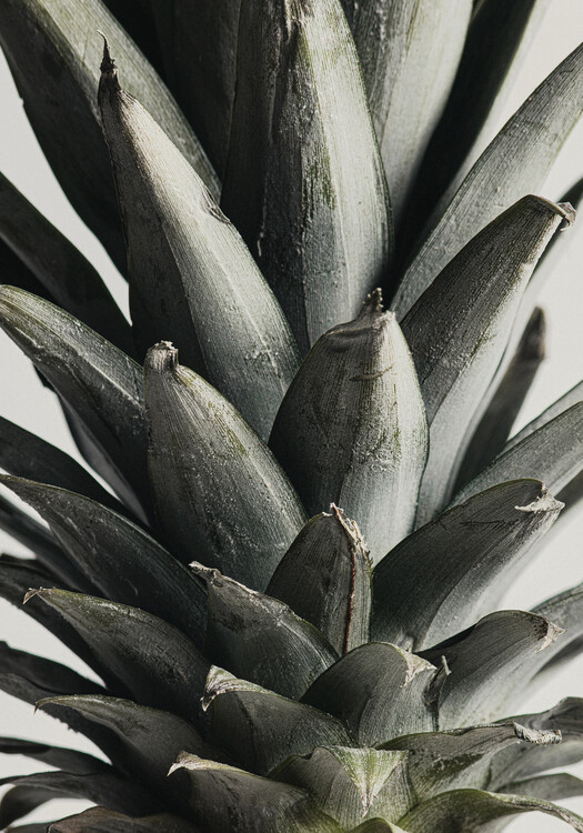 Художня фотографія Pineapple close up