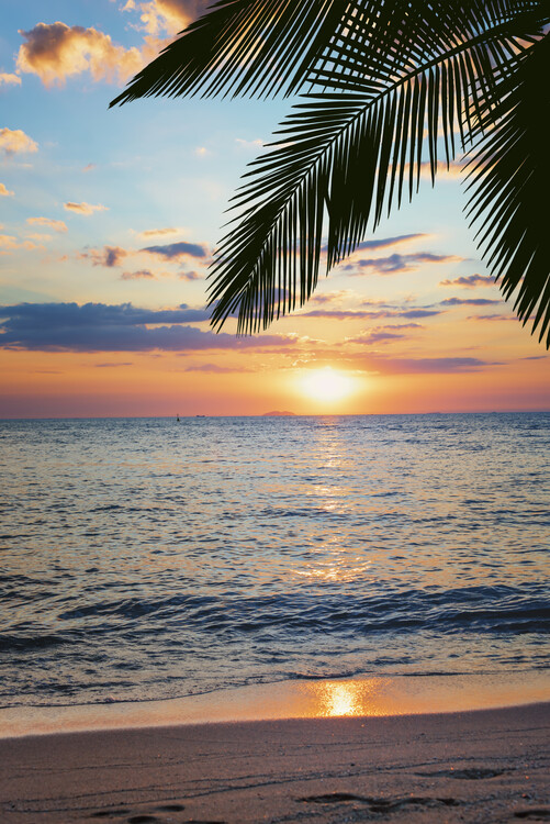 Художня фотографія Beach Sunset