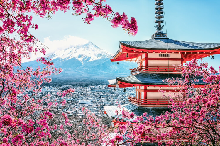 Художня фотографія Japanese Sakura