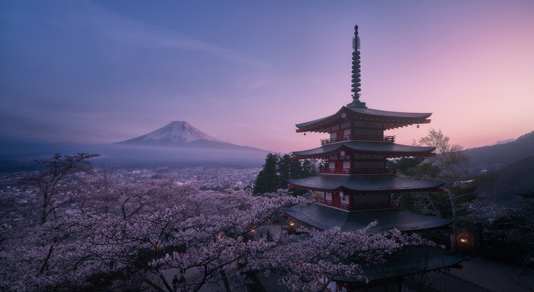 Kunstfoto Mt Fuji Sakura