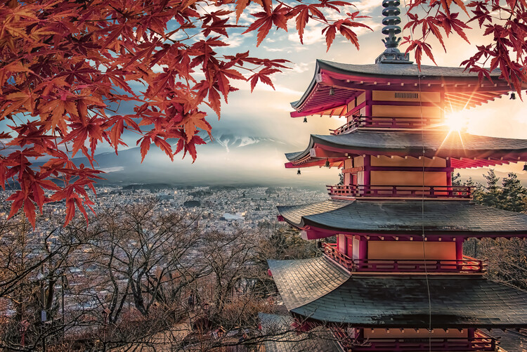 Художня фотографія Autumn In Japan