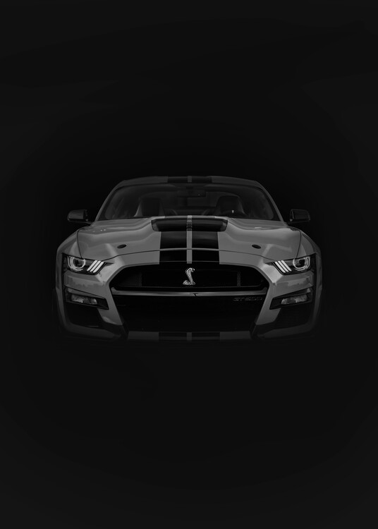 Art Print Mustang Shelby GT 500