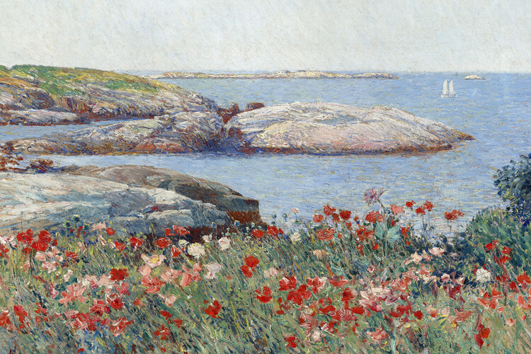 Reprodukcja Poppies on the Isles of Shoals