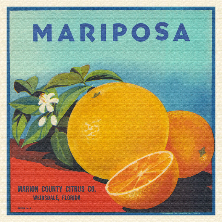 Художній друк Mariposa Brand Citrus