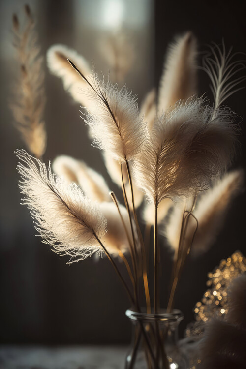 Kunstfoto Pampas Grass In Sunlight