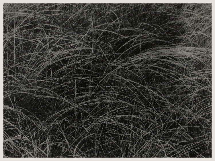 Художня фотографія Equivalent (Abstract Photography) - Alfred Stieglitz