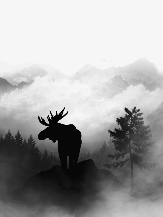 Художня фотографія Moose