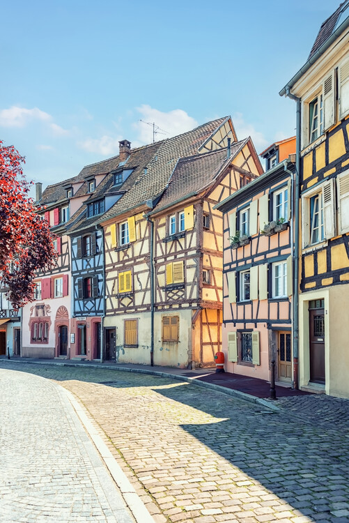 Fotografia Sunny Colmar