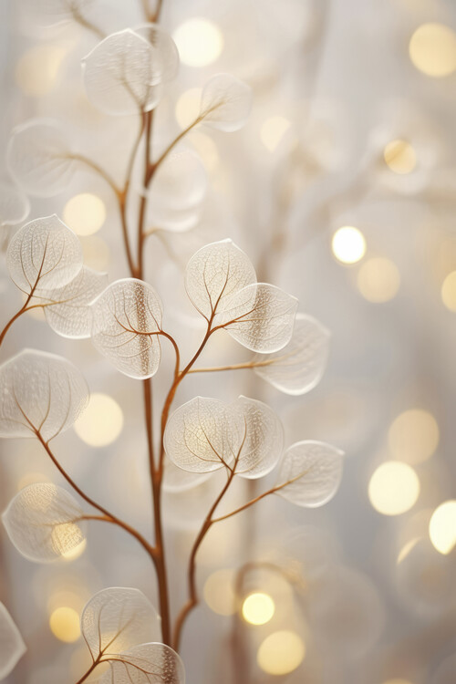 Fotografie Tiny Transparent Leafs