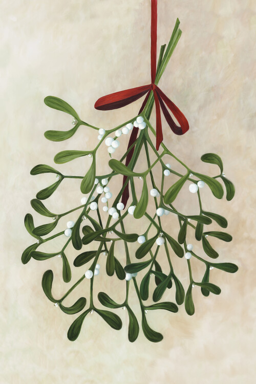 Ilustrace Mistletoe bouquet with bow