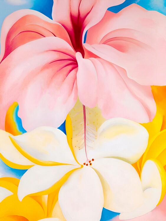 Illustration Hibiscus with Plumeria