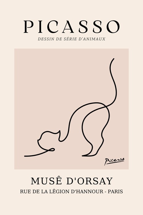 Illustrazione PICASSO musé d'orsay