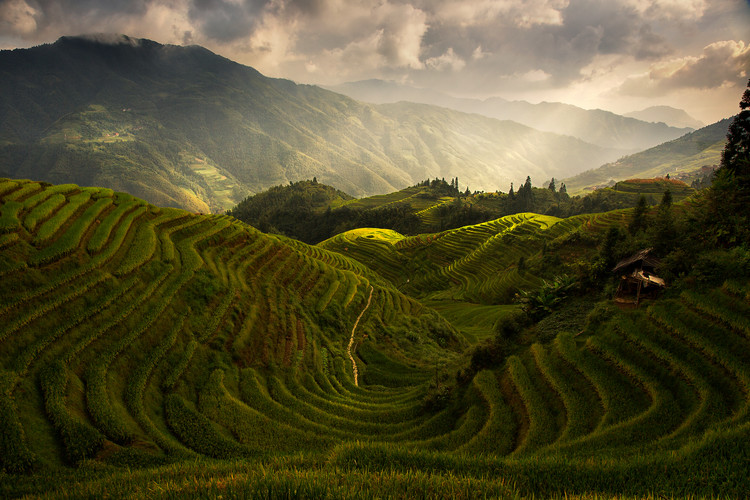 Fotografia A Tuscan Feel in China