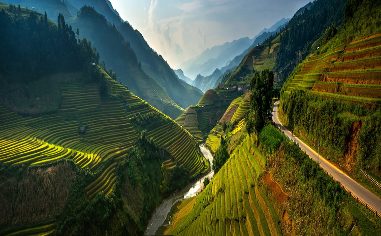 Fotografia Mu cang chai