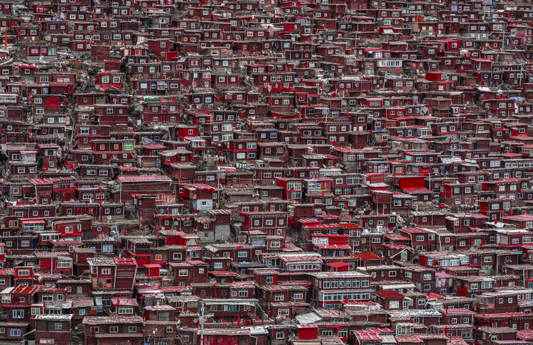 Fotografia Red houses