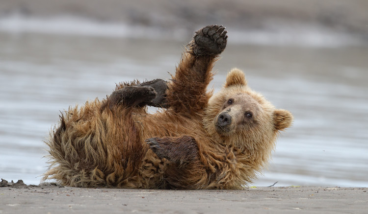 Bild auf Leinwand High Five