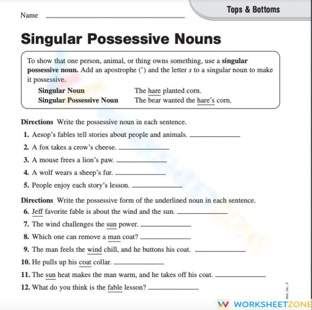 Singular Possessive Nouns Worksheet