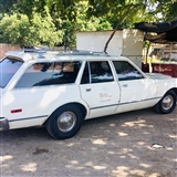 1978 dodge dodge dart guayin vagoneta